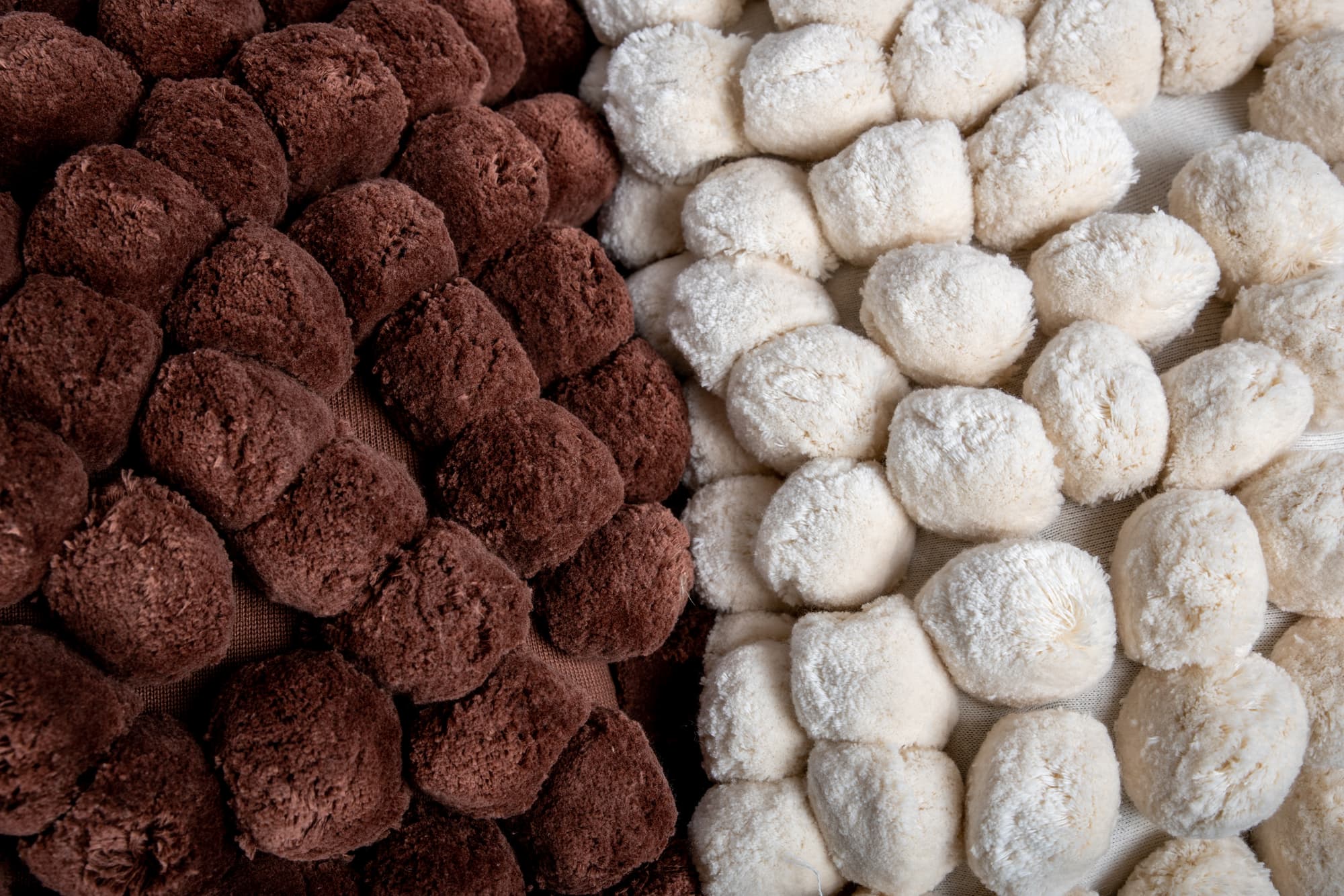Pute Pom Pom – bilde 4